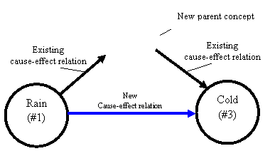 New Parent-child axon